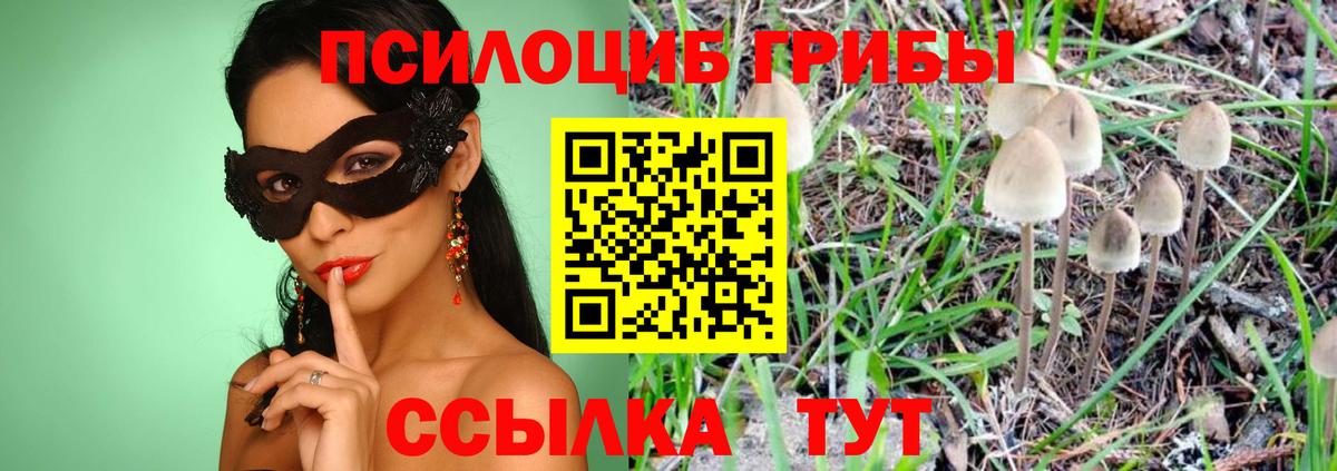 Псилоцибиновые грибы мицелий  Галлюциногенные грибы мицелий  Вход с VPN  Карпинск 