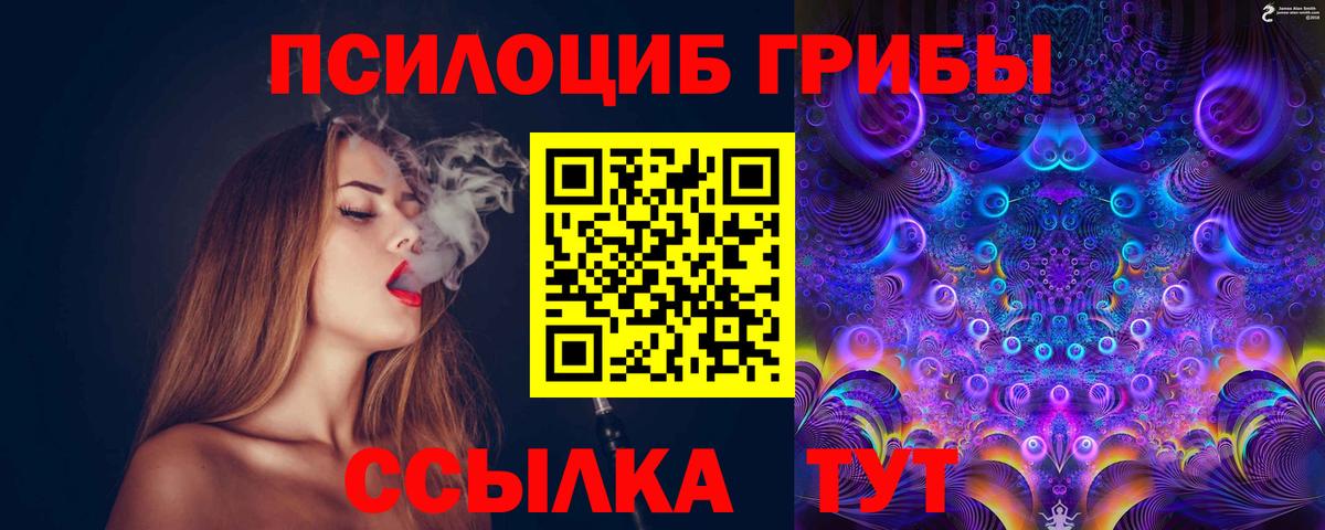 Псилоцибиновые грибы Psilocybine cubensis Карпинск